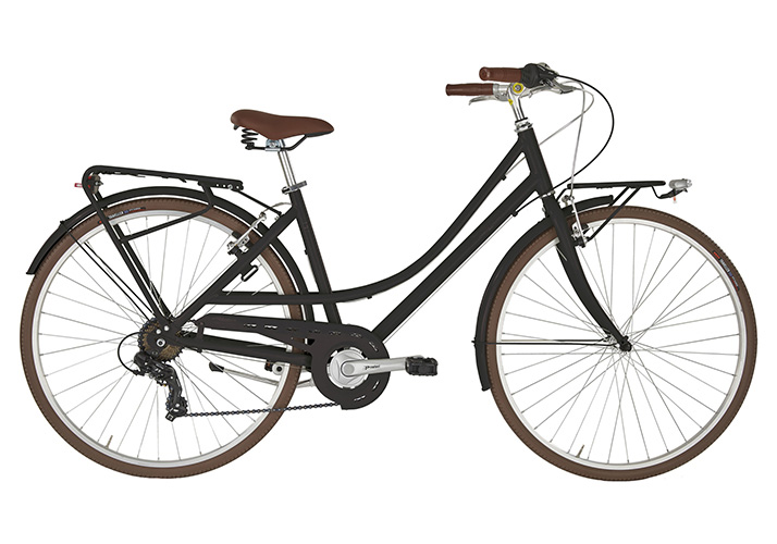 bicicletta alpina donna